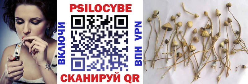 Псилоцибиновые грибы ЛСД  купить наркотики сайты  Мыски 