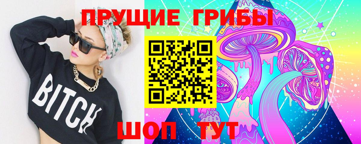 Мыски  Псилоцибиновые грибы Cubensis  Вход с VPN 