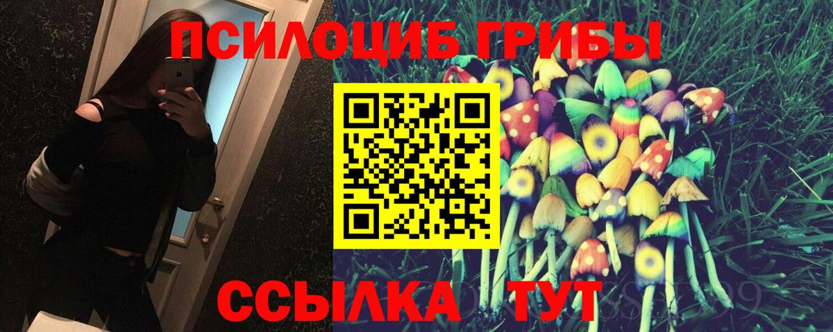 Псилоцибиновые грибы Cubensis Мыски